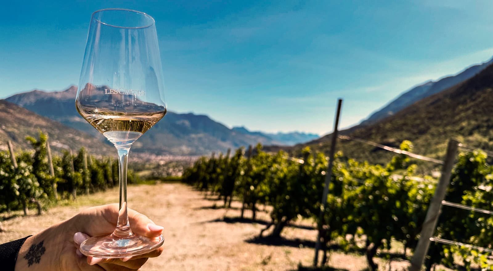 Top Wines Experience