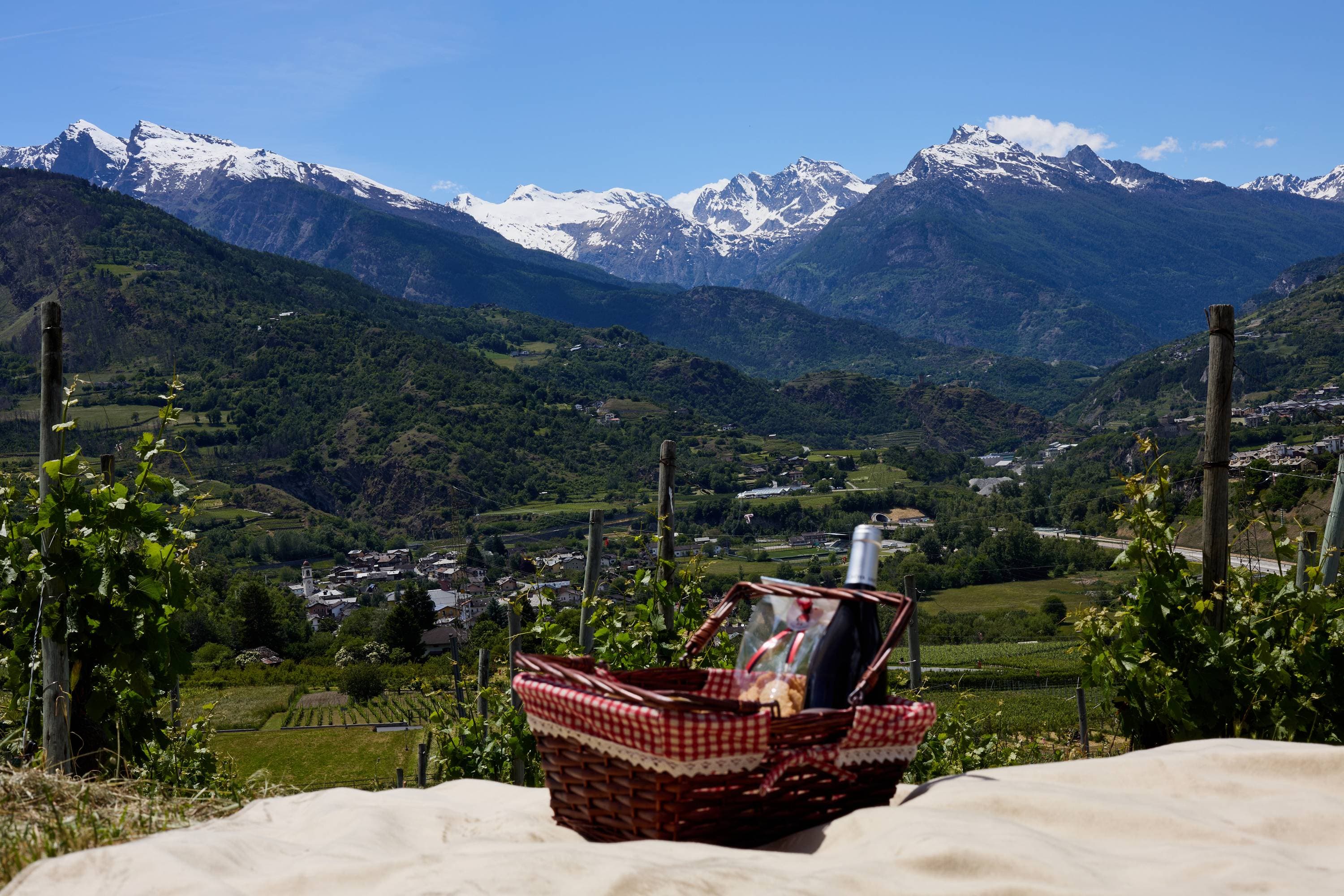 Picnic at Côteau