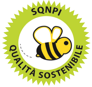 sqnpi logo