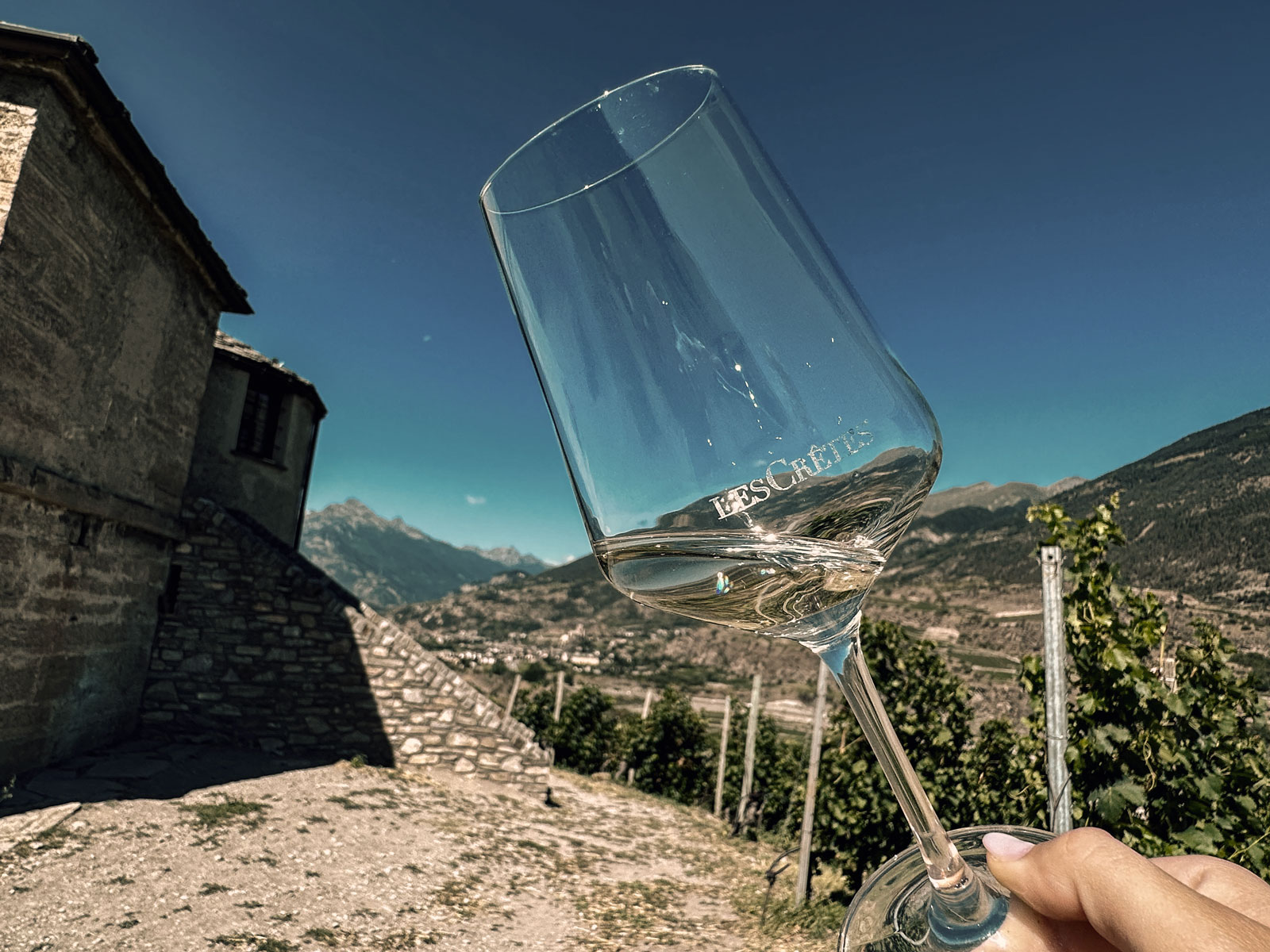 Wellness & Wine Tasting