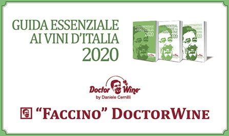 Neige d’Or 2017 Faccino DoctorWine