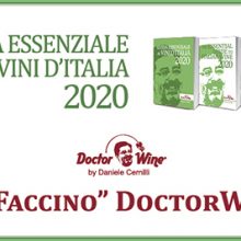 Neige d’Or 2017 Faccino DoctorWine